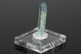 Bi-Colored Aquamarine Crystal - Transbaikalia, Russia #175642-2